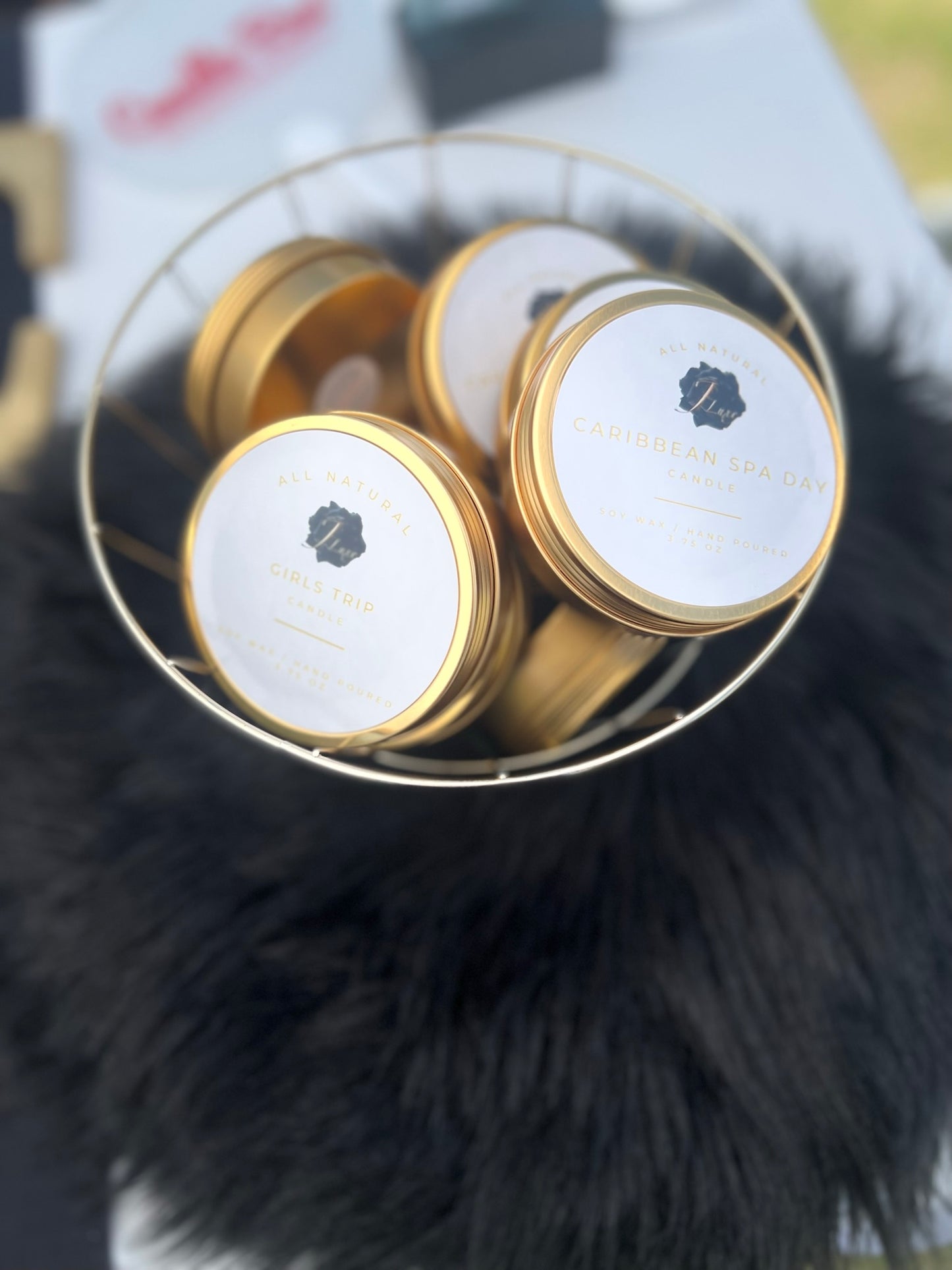 Travel Tin Set Wellness II